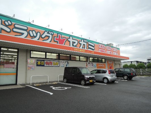 サンフェルティ ドラッグストア