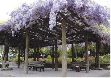 コンソートONE 公園
