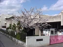 シャルム八尾 幼稚園